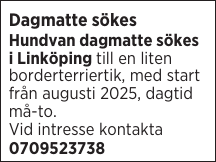 Dagmatte sökes