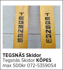 TEGSNÄS Skidor