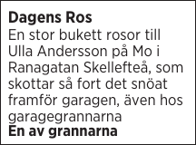 Dagens Ros