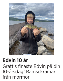 Edvin 10 år