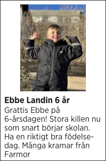 Ebbe Landin 6 år