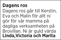 Dagens ros