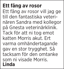 Ett fång av rosor 