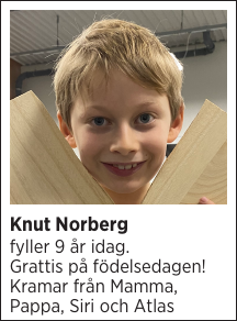 Knut Norberg