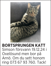 BORTSPRUNGEN KATT