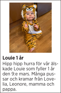 Louie 1 år